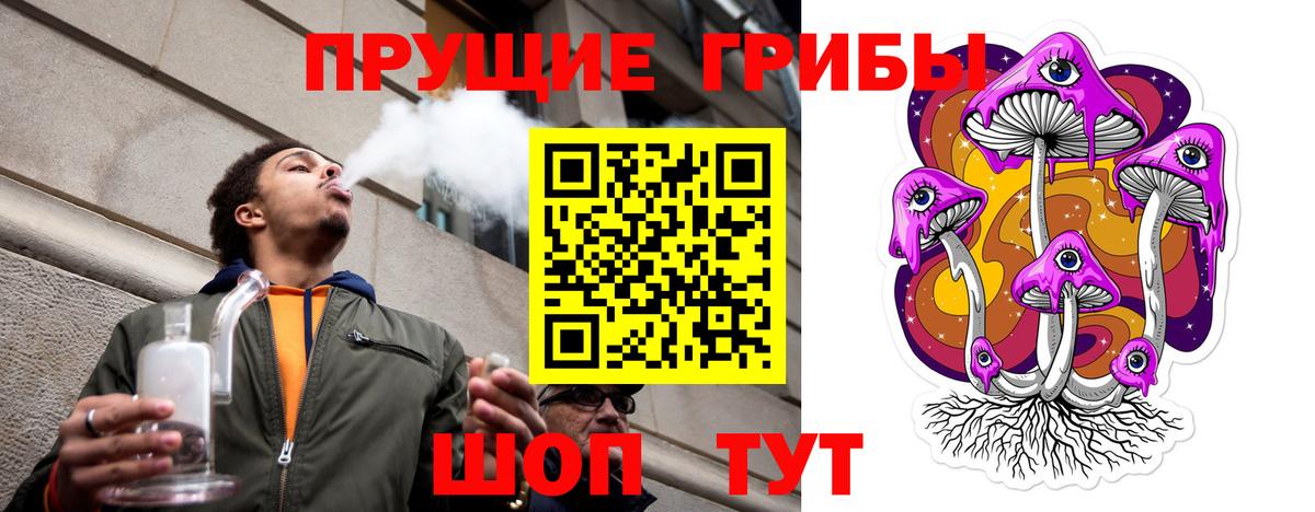 Псилоцибиновые грибы мицелий Баксан